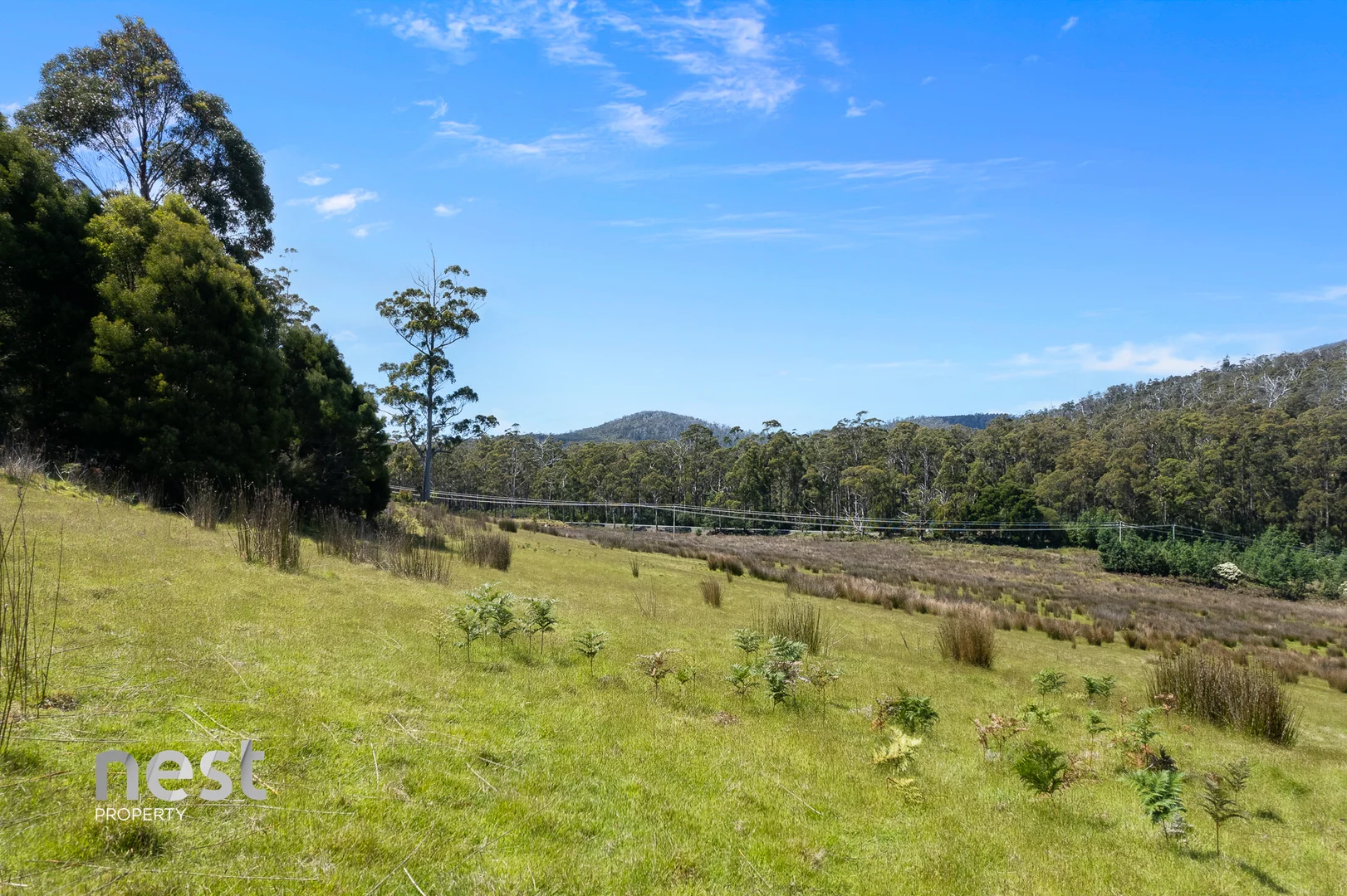 Additional image 22 of 4736 Arthur Highway, Murdunna TAS 7178