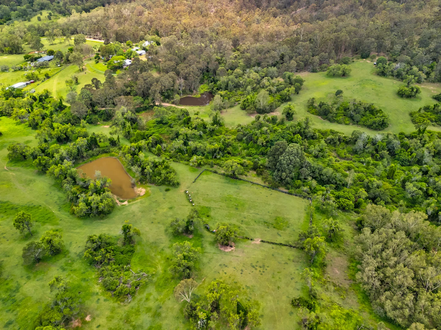 Additional image 33 of 22 Waterhouse Rd, Summerholm QLD 4341