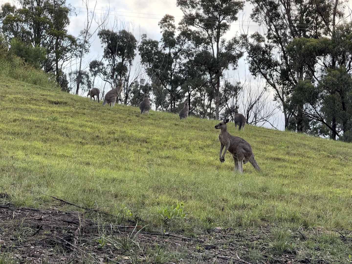 Additional image 25 of 38 Yarran Rd, Boydtown NSW 2551