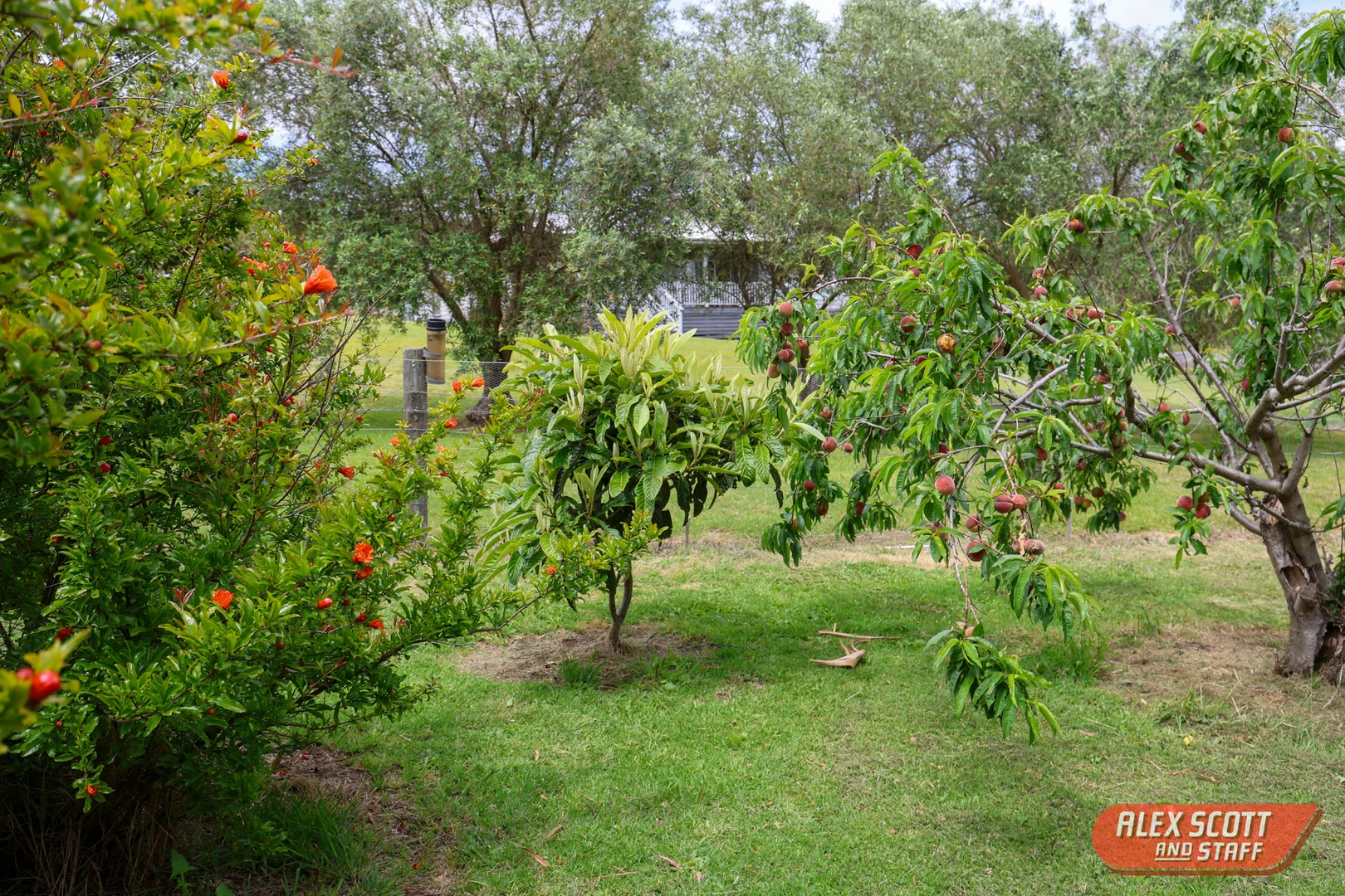 Additional image 30 of 113-115 Jamieson Street, Corinella VIC 3984