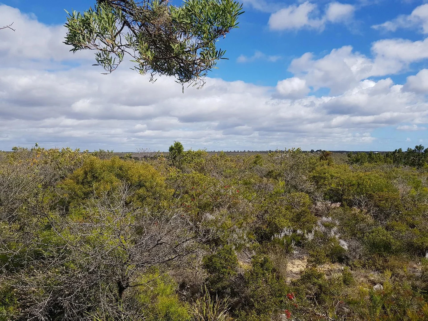 Additional image 8 of 277 PREMIER Drive, Jurien Bay WA 6516