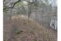 Additional image 8 of Old Bradley Rd, Mardela Springs, MD, 21837