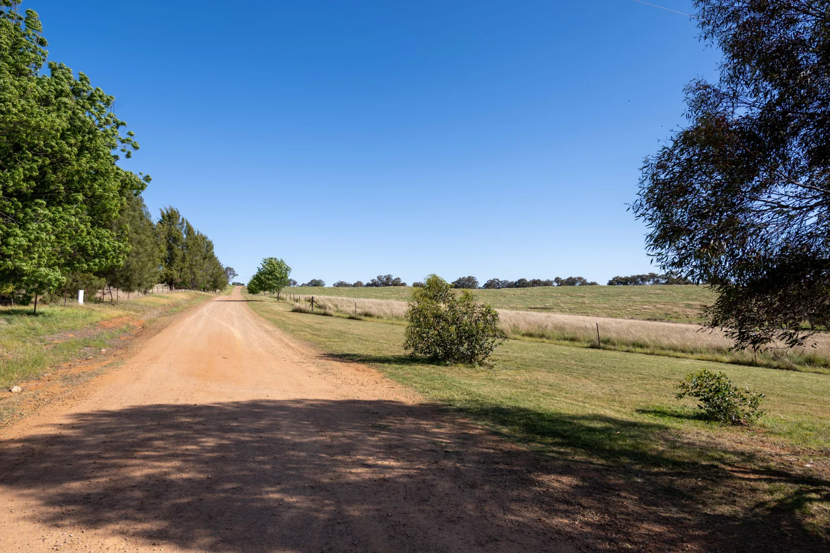 Additional image 39 of 251 Pattersons Lane, Young NSW 2594