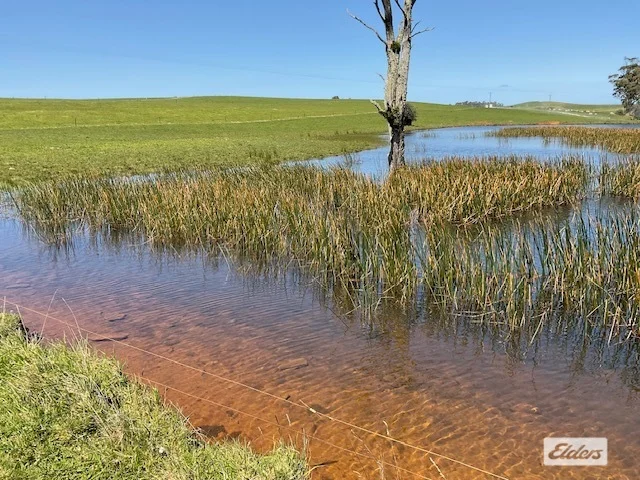 Additional image 49 of Dawkins Road, Lileah TAS 7330