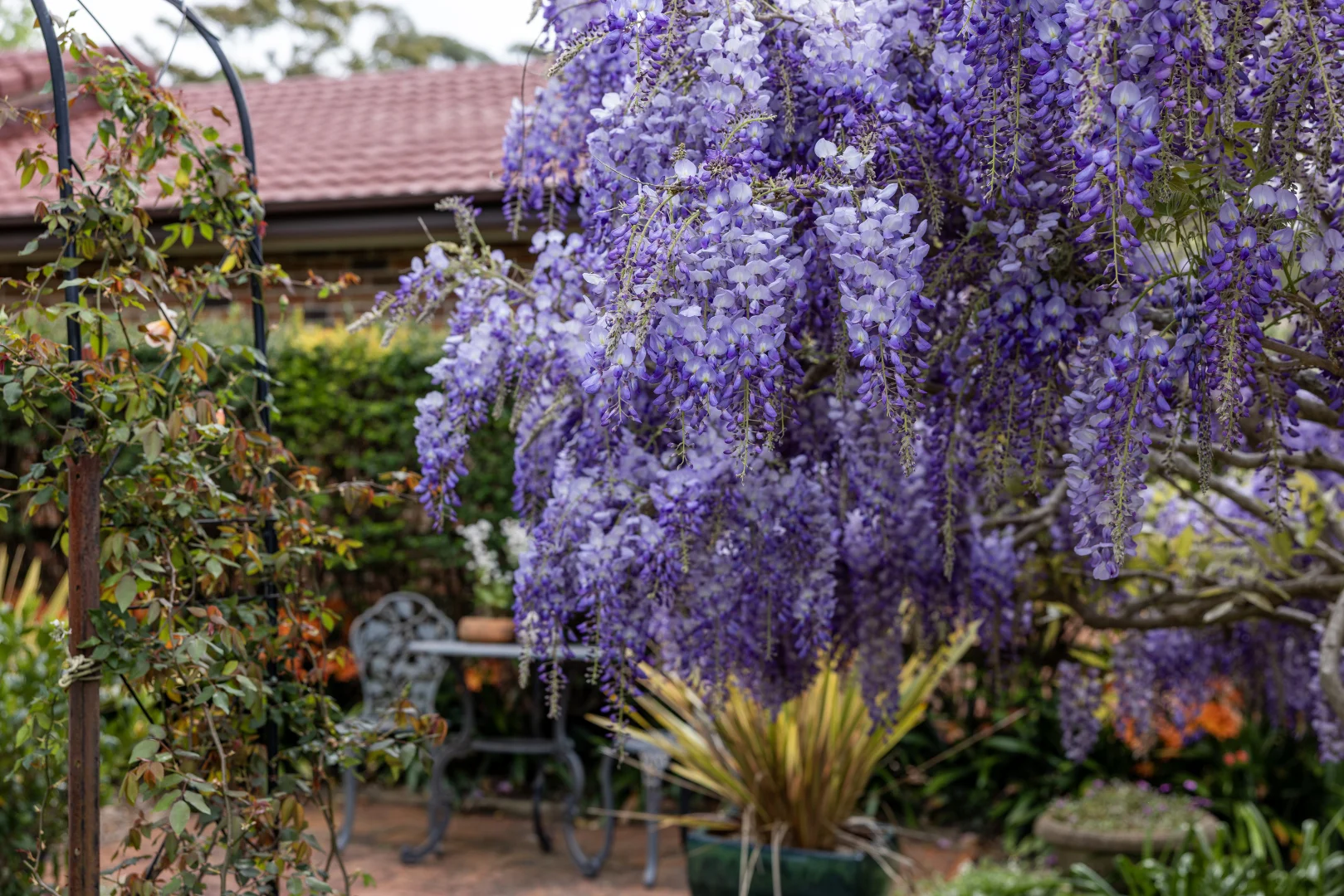 Additional image 26 of 8 Mount Vista Close, Berry NSW 2535