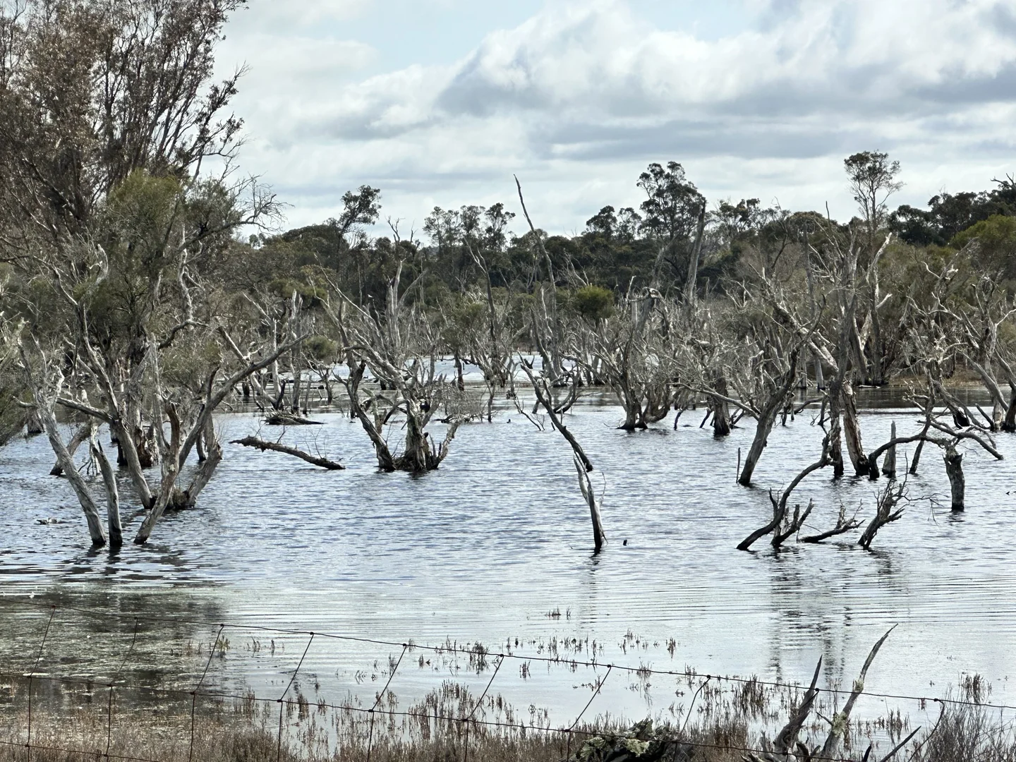 Additional image 29 of 331 Clitchbury Road, Frankland River WA 6396