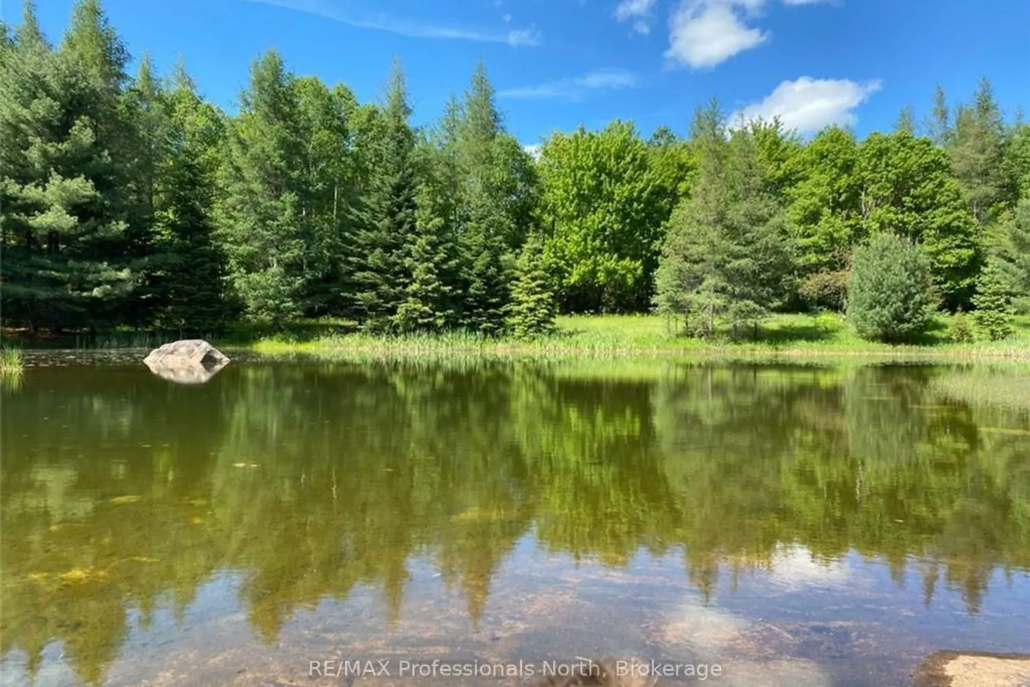 Additional image 17 of 204 Mineral Springs Road