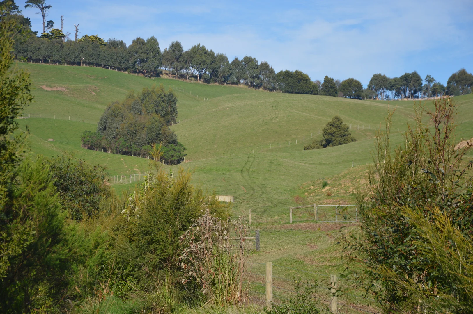 Additional image 22 of 55 Michie Road, Krowera VIC 3945