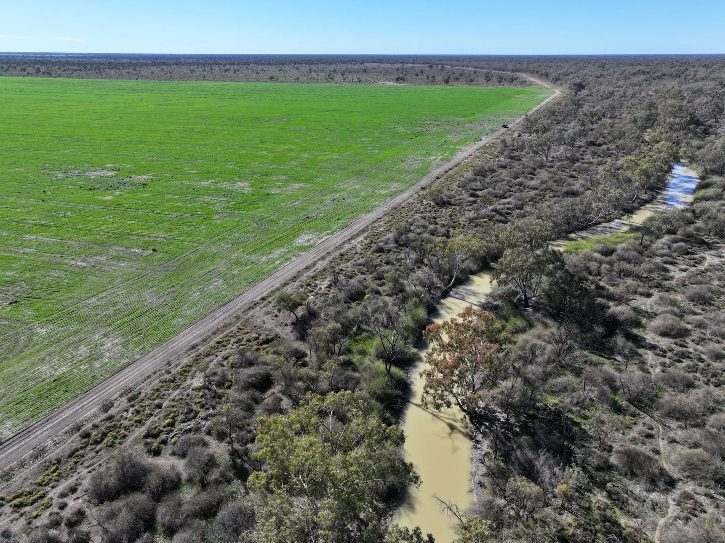 Additional image 7 of 1127 Green and Branders Road, Carinda NSW 2831