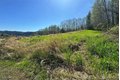 Additional image 9 of Elk Ridge Rd Lot 7, Mossyrock, WA, 98564