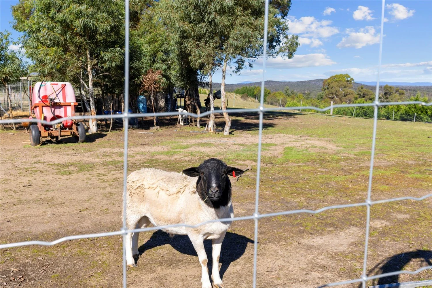 Additional image 14 of 134 Lakeview Road, Tarago NSW 2580