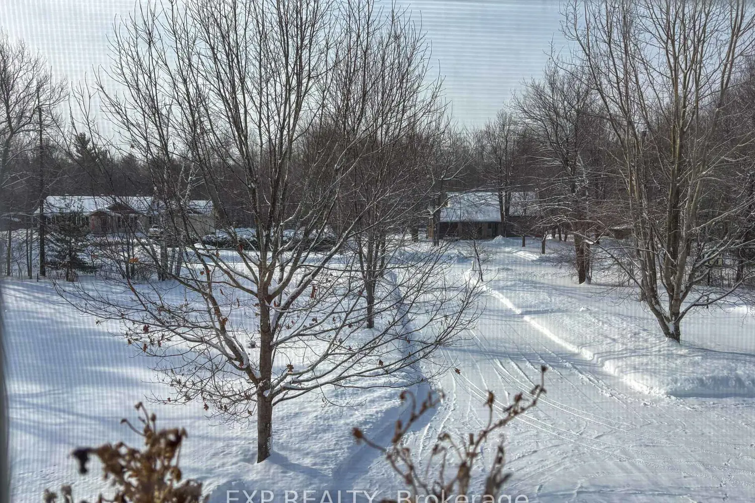 Additional image 15 of 2296 Eady Road