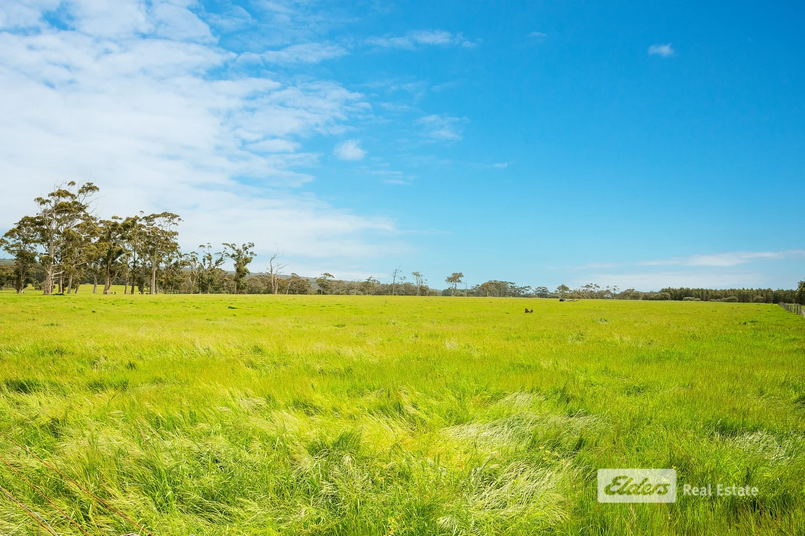 Additional image 5 of 23 Bussell Highway, Karridale WA 6288