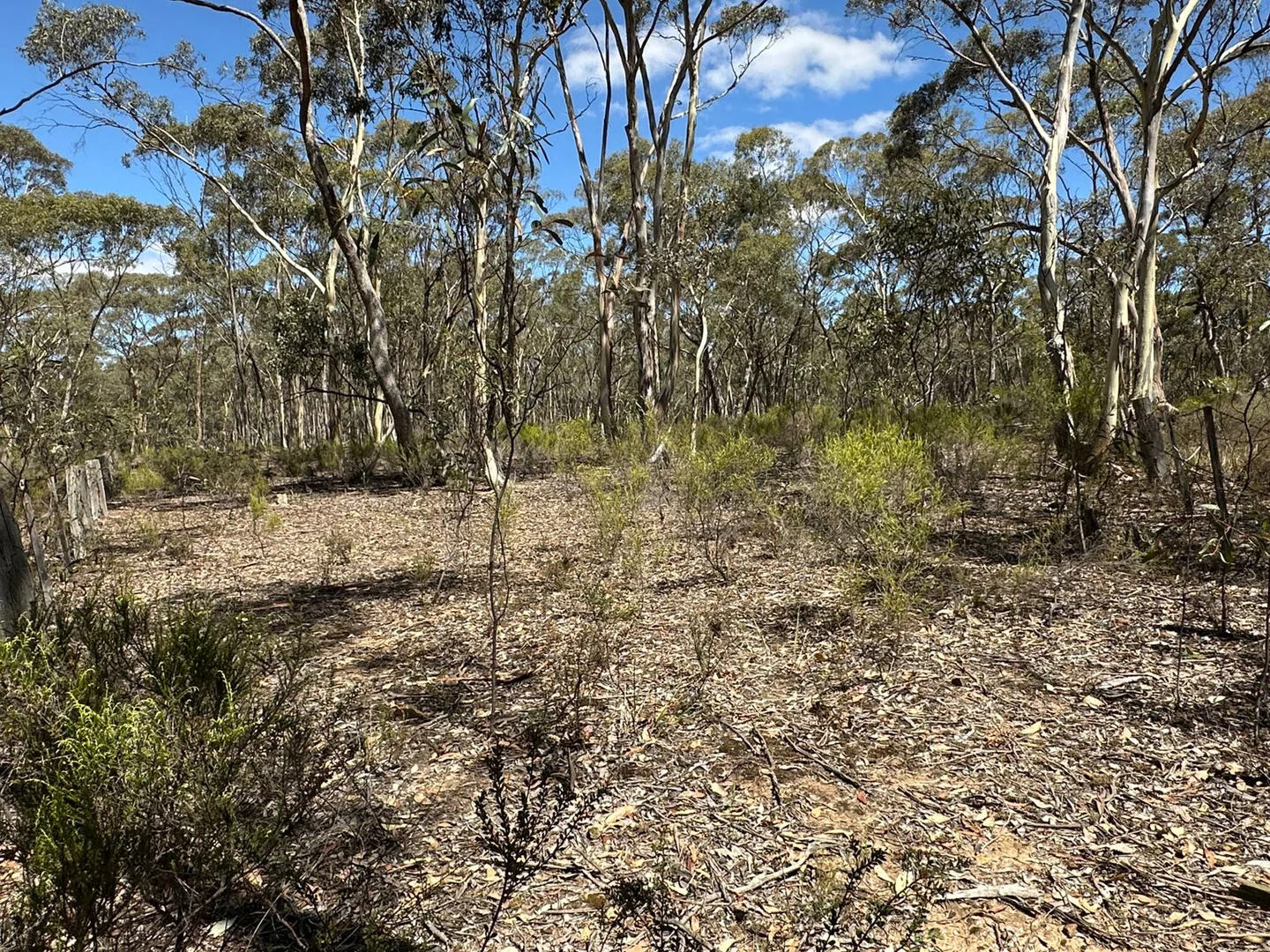 Additional image 2 of 206 Williams Road, Carisbrook VIC 3464