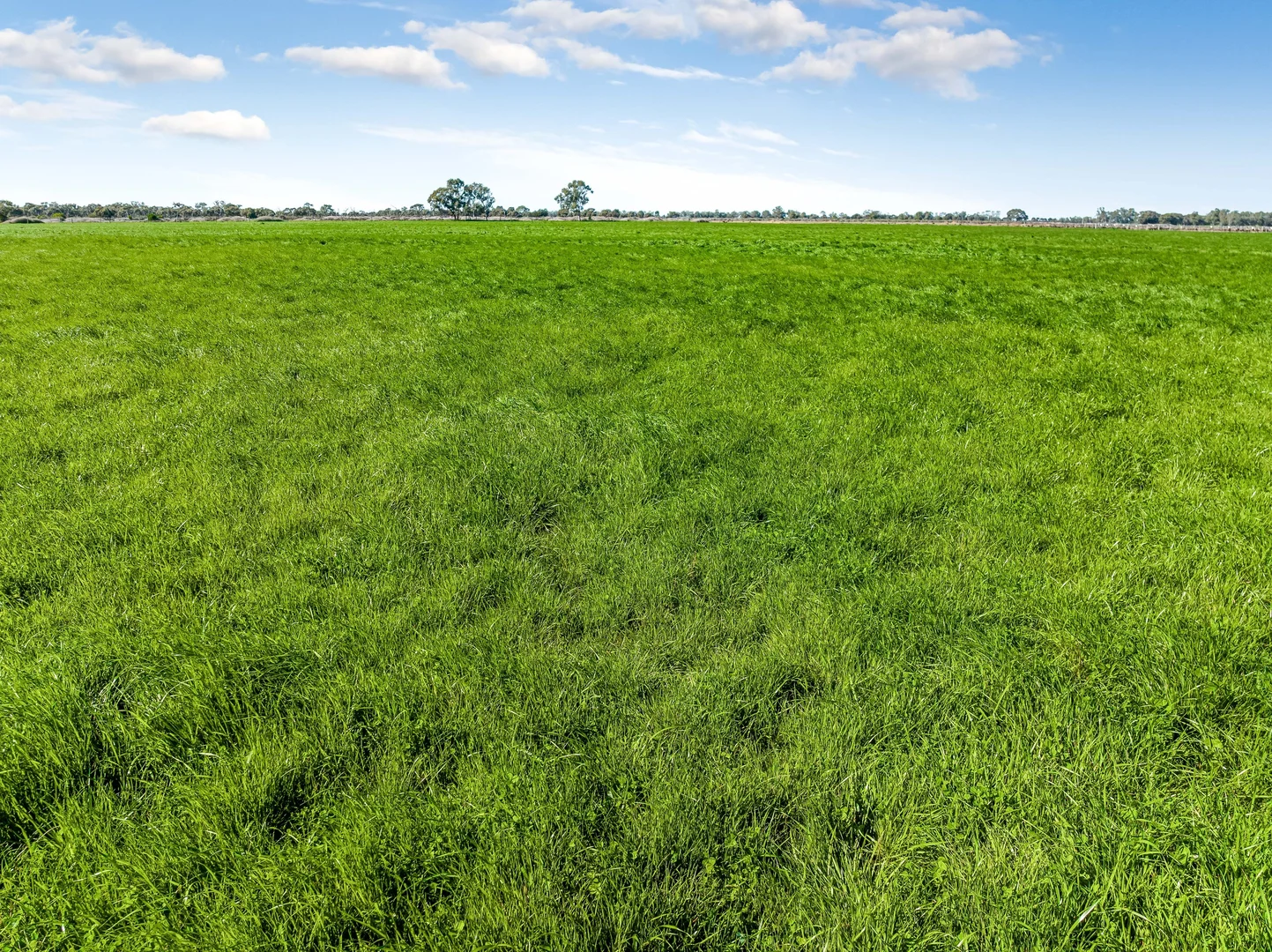 Additional image 5 of 198 Tragowel Road, Tragowel VIC 3579