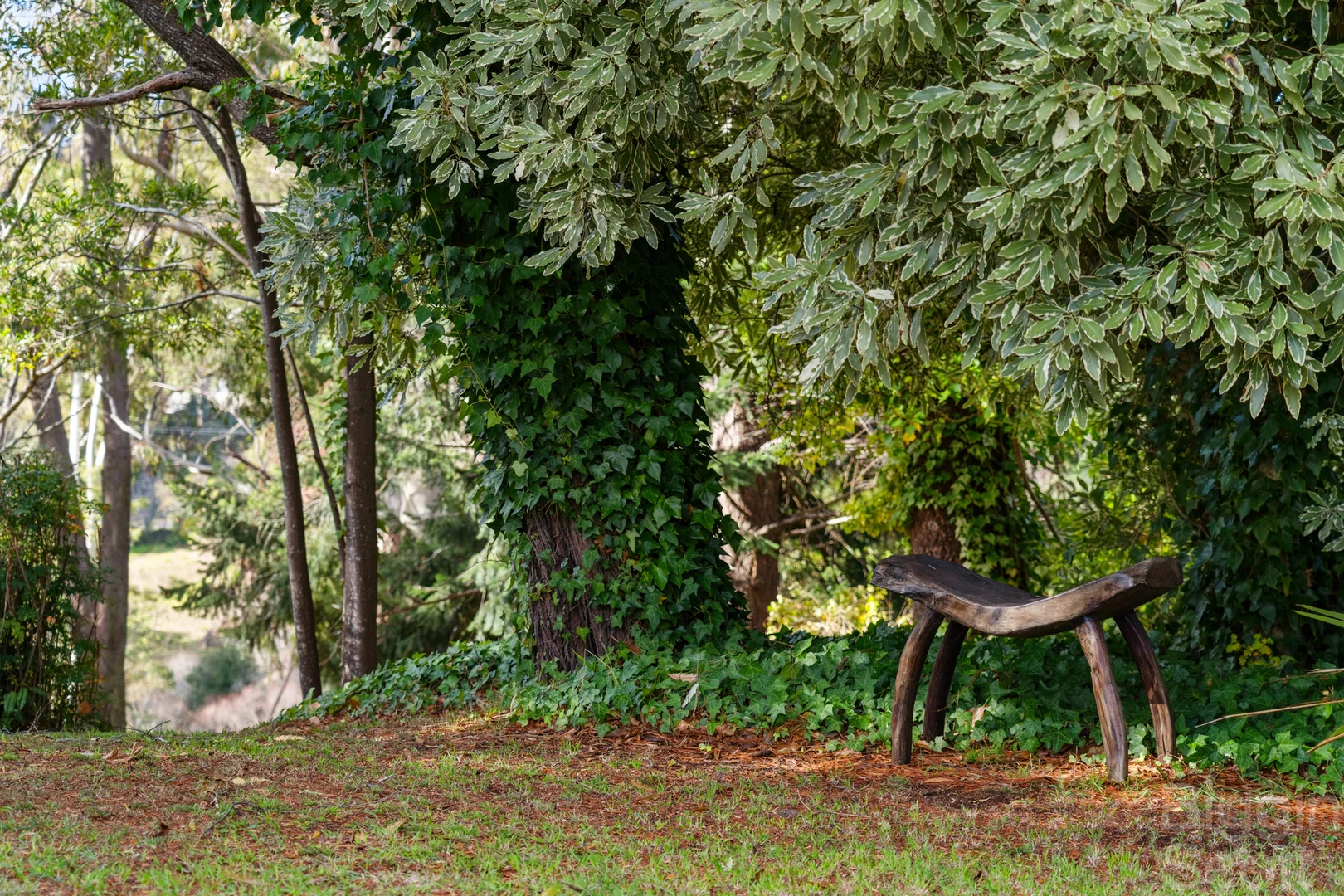 Additional image 16 of 3036 Ballan Daylesford Road, Daylesford VIC 3460