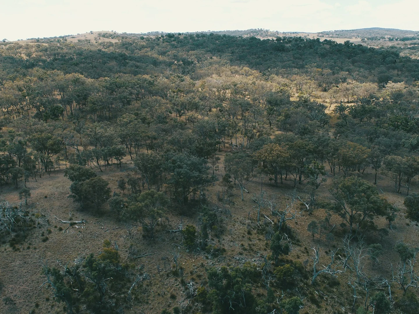 Additional image 13 of Lot 2 Stanthorpe Texas Road, Stanthorpe QLD 4380