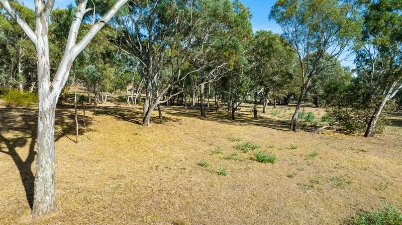 Additional image 6 of 979 Four Mile Lane, Little Billabong NSW 2644