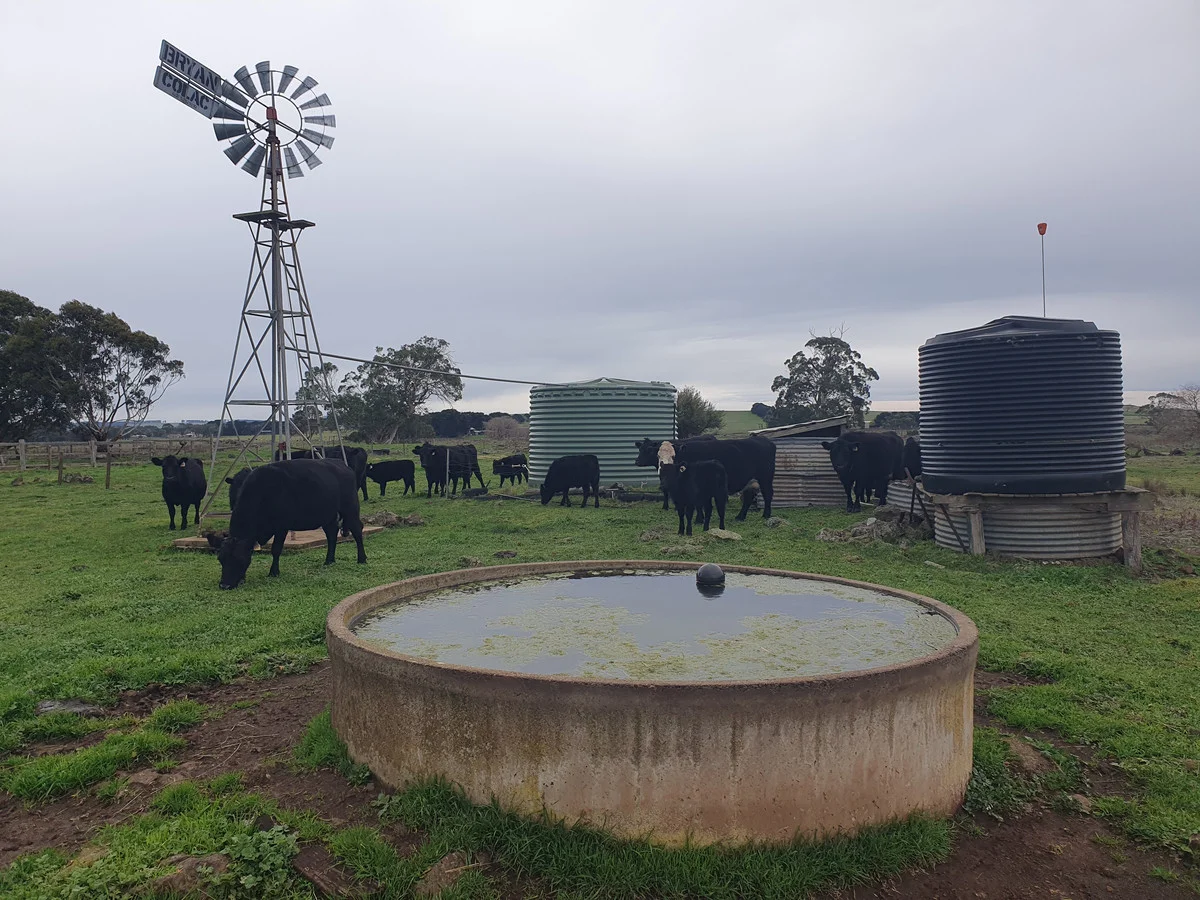 Additional image 20 of 546 Koallah Pomborneit Road, Koallah VIC 3260