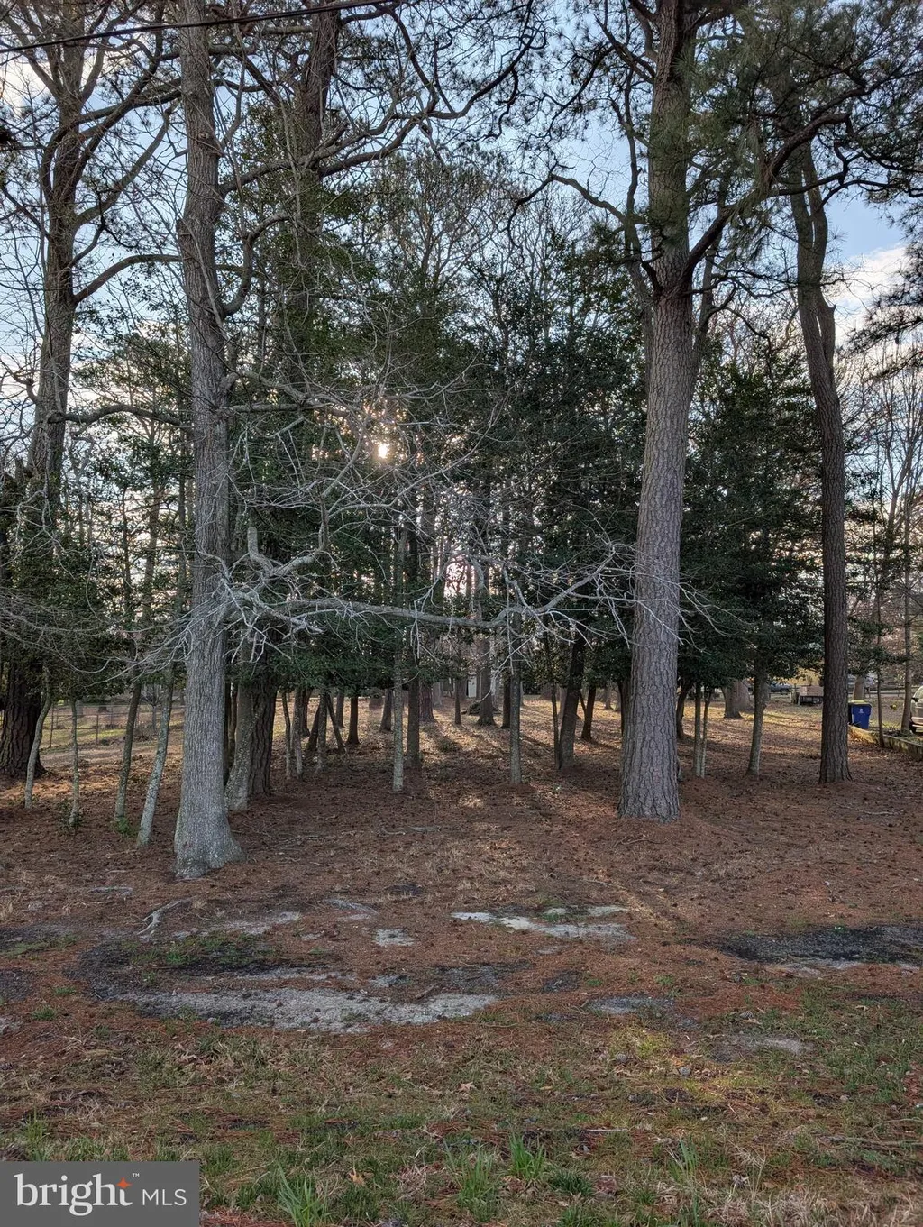 7 Woodland Avenue, Ocean View, DE 19970