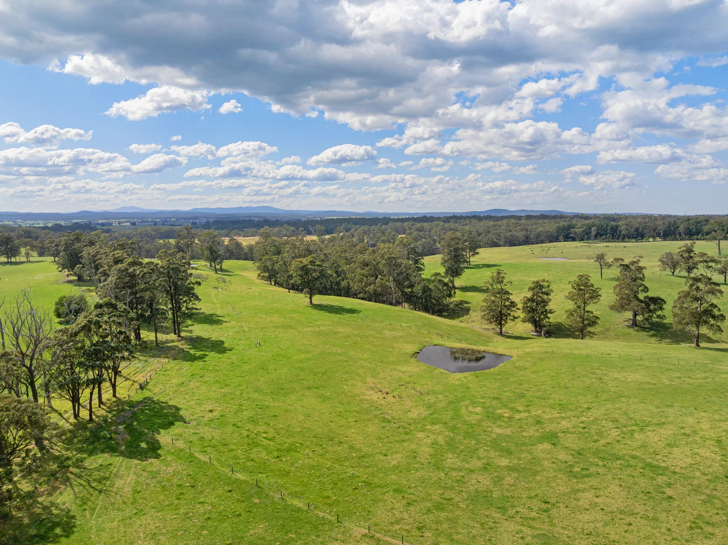 Additional image 14 of 164 Joiners Road, Newmerella VIC 3886