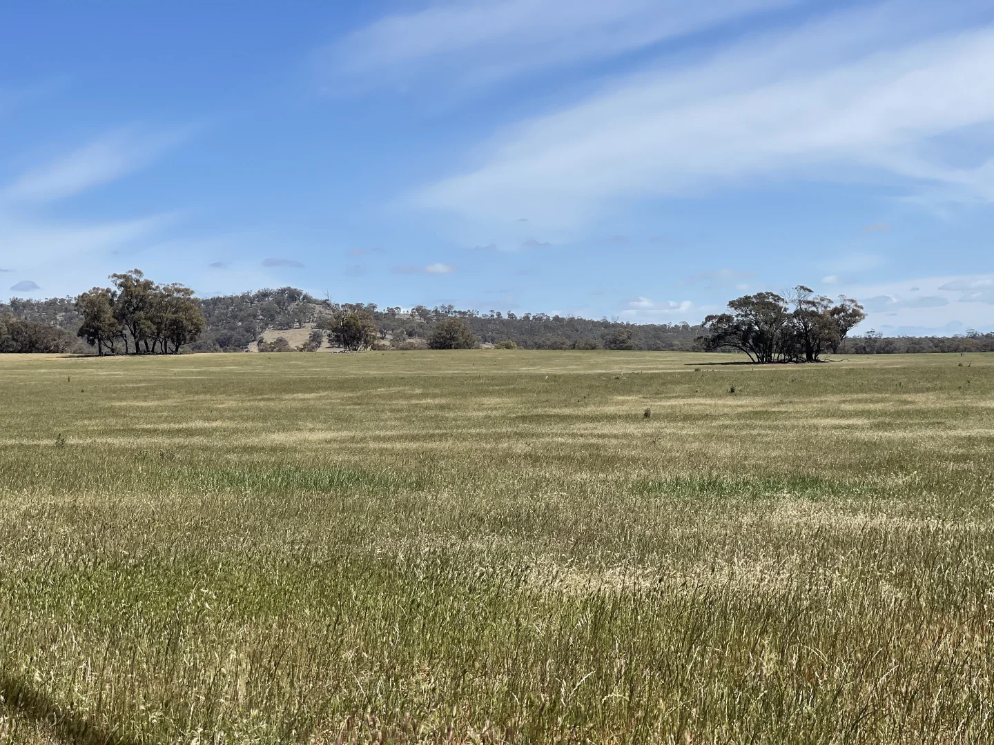 Additional image 25 of 0 Mathison Road, Gre Gre South VIC 3477