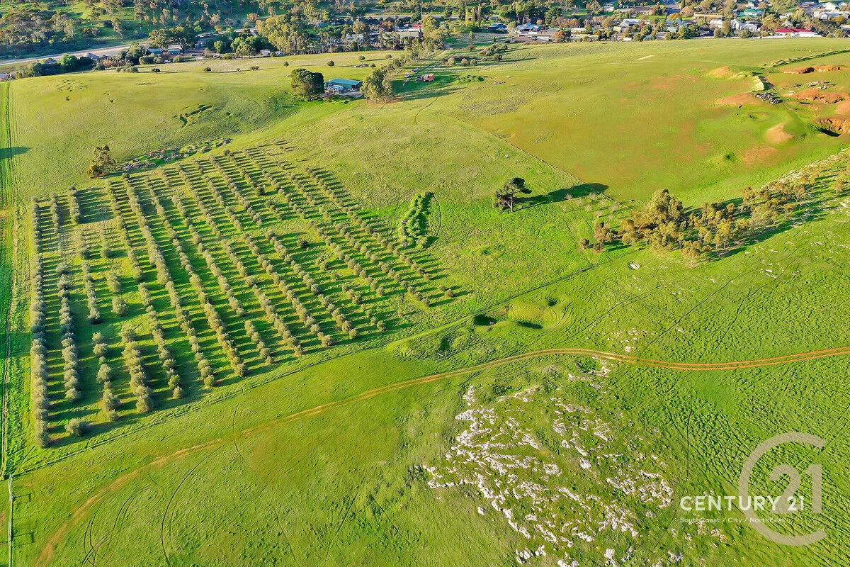 Additional image 12 of Lot 404 Richard Street, Penrice SA 5353