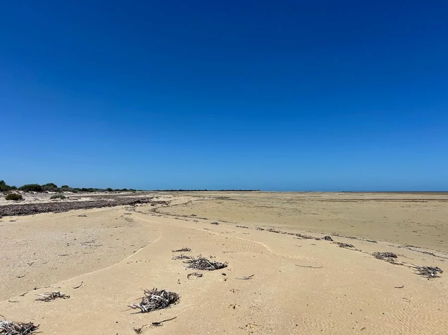 Additional image 3 of Section 6 Old Telegraph Road, Midgee SA 5602