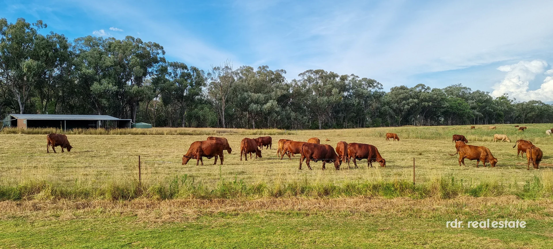 Additional image 3 of 345 Copeton Dam Road, Inverell NSW 2360