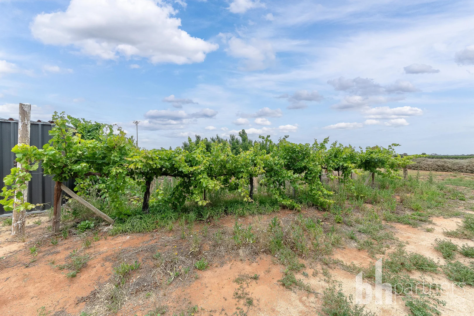 Additional image 24 of 615 Hunt Road, Barmera SA 5345