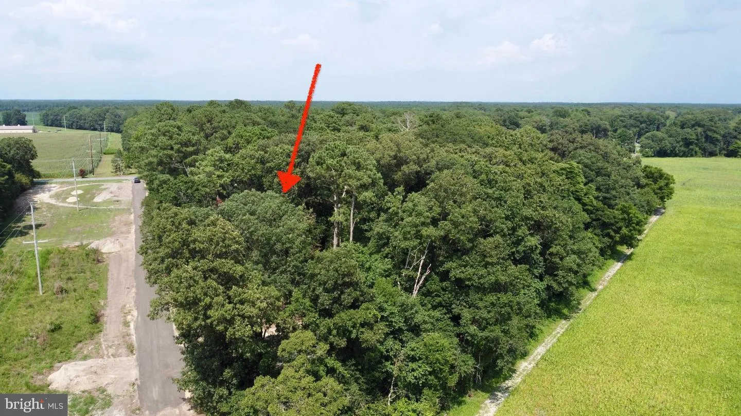 Additional image 18 of Lot 1 Mount Joy Road, Millsboro, DE 19966