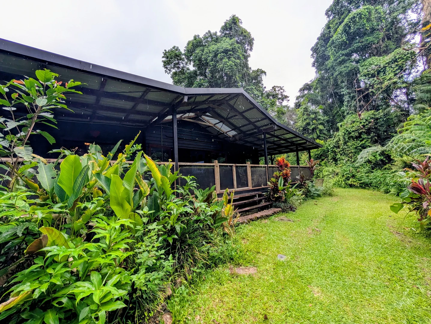 9 Maple Road, Daintree QLD 4873