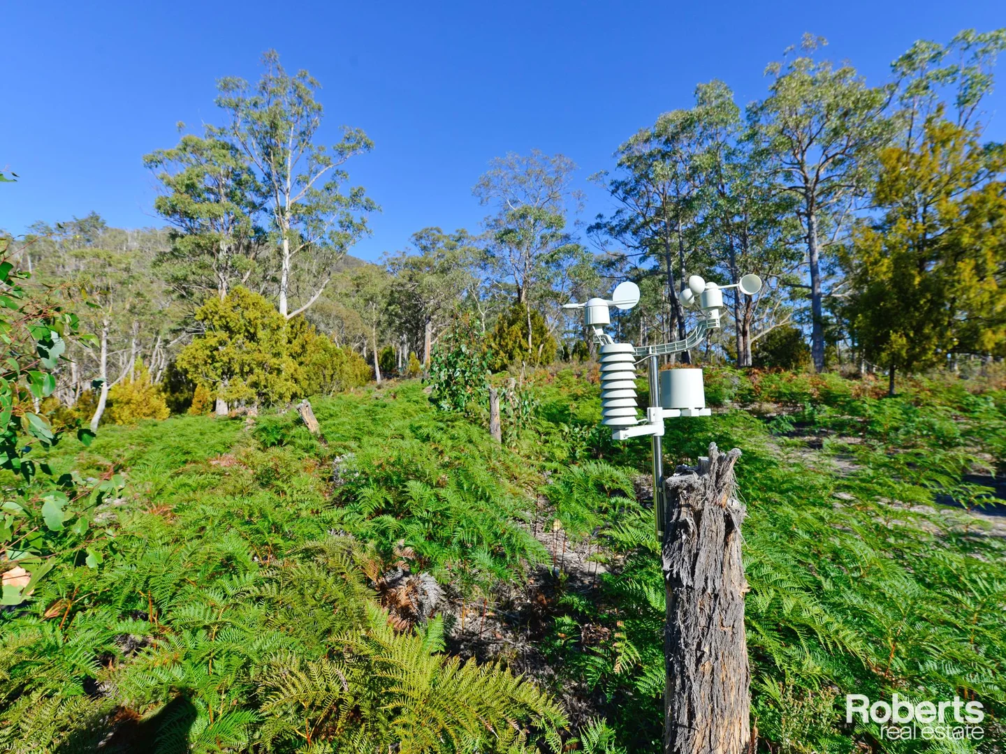 Additional image 12 of Fentonbury TAS 7140