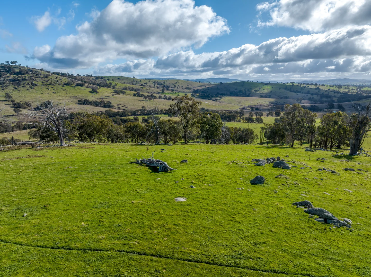 Additional image 9 of 2306 Bigga Road, Bigga NSW 2583