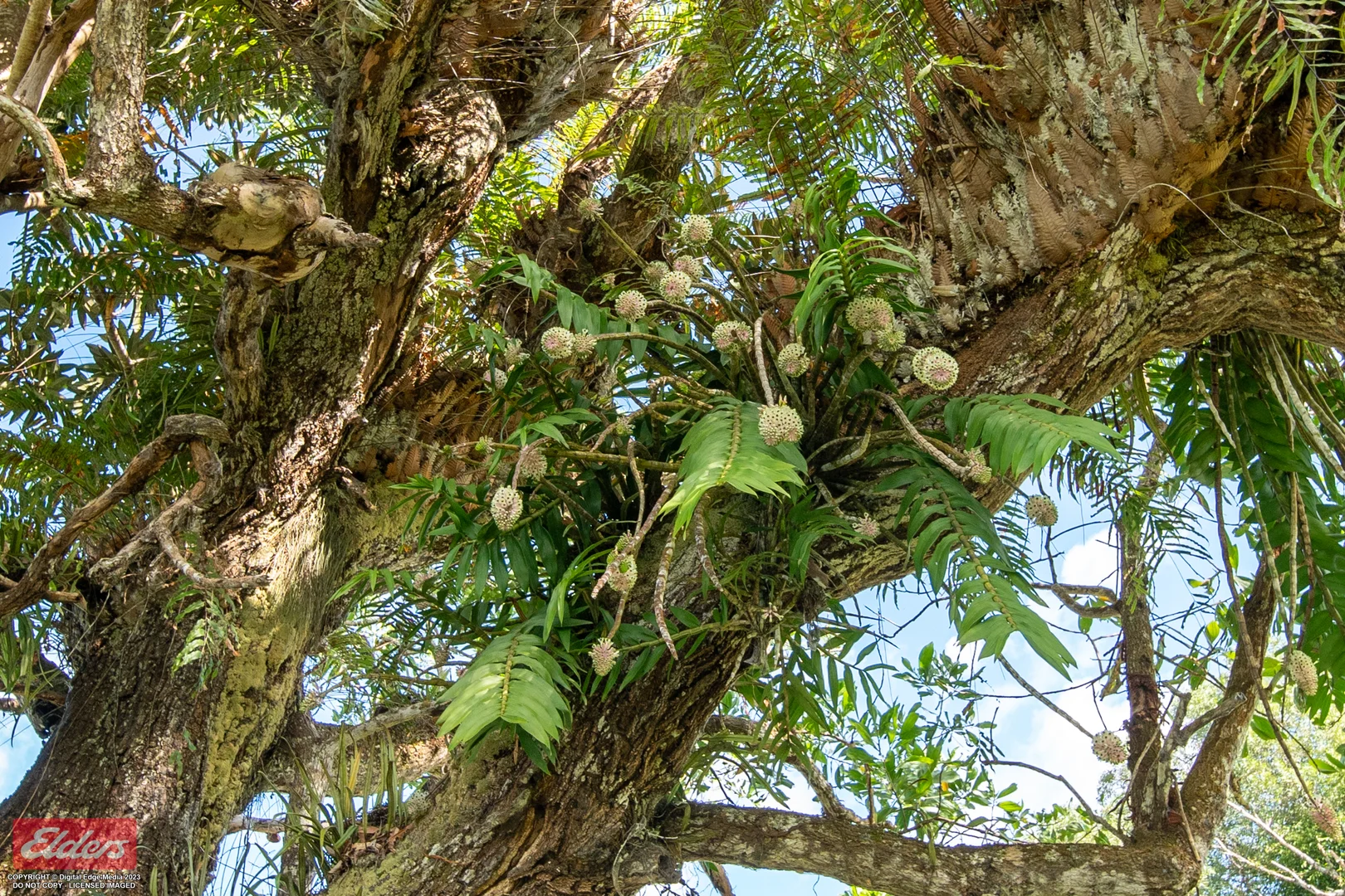 Additional image 6 of 104 Warrubullen Road, Warrubullen QLD 4871
