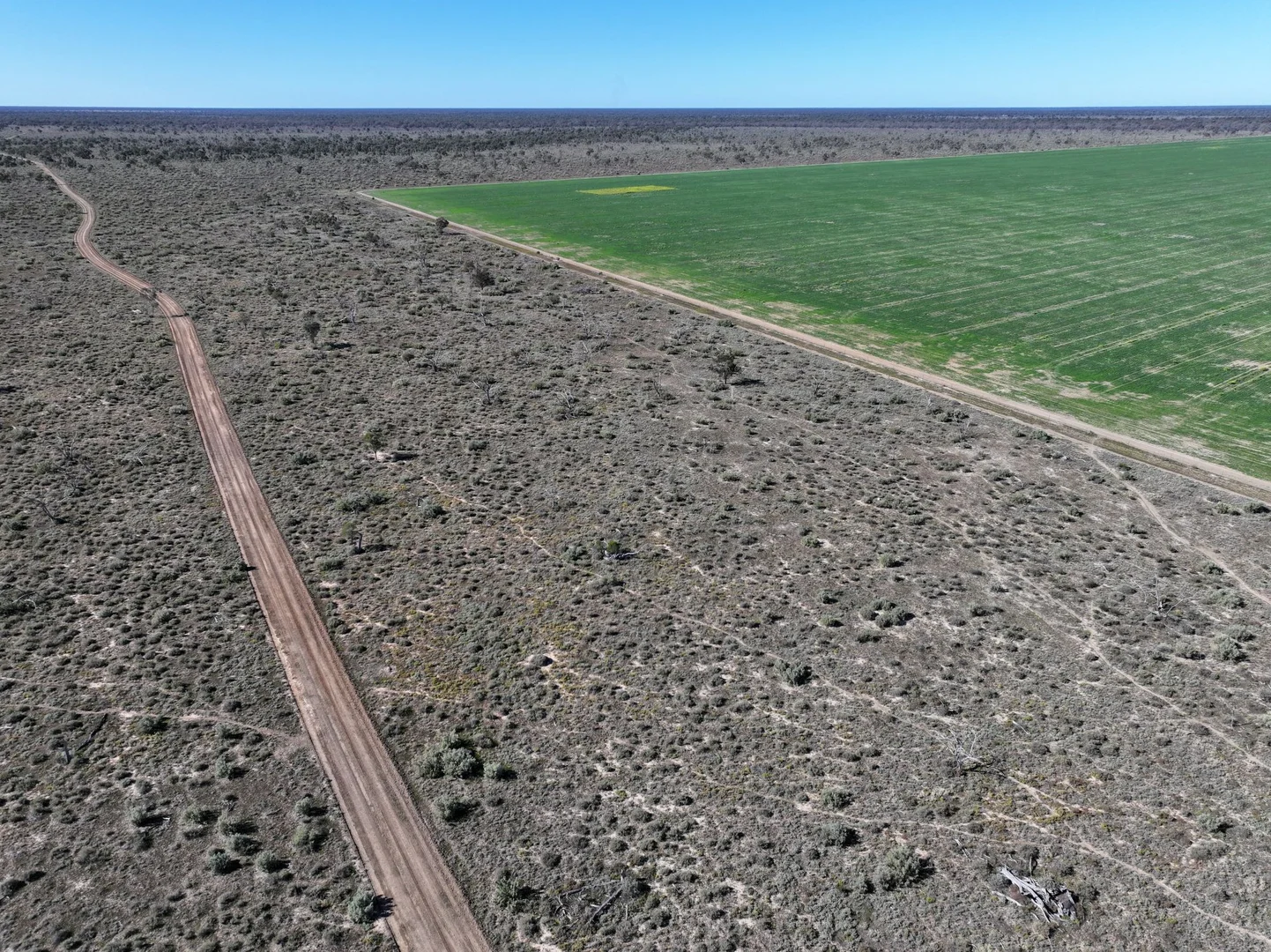 Additional image 10 of 1127 Green and Branders Road, Carinda NSW 2831