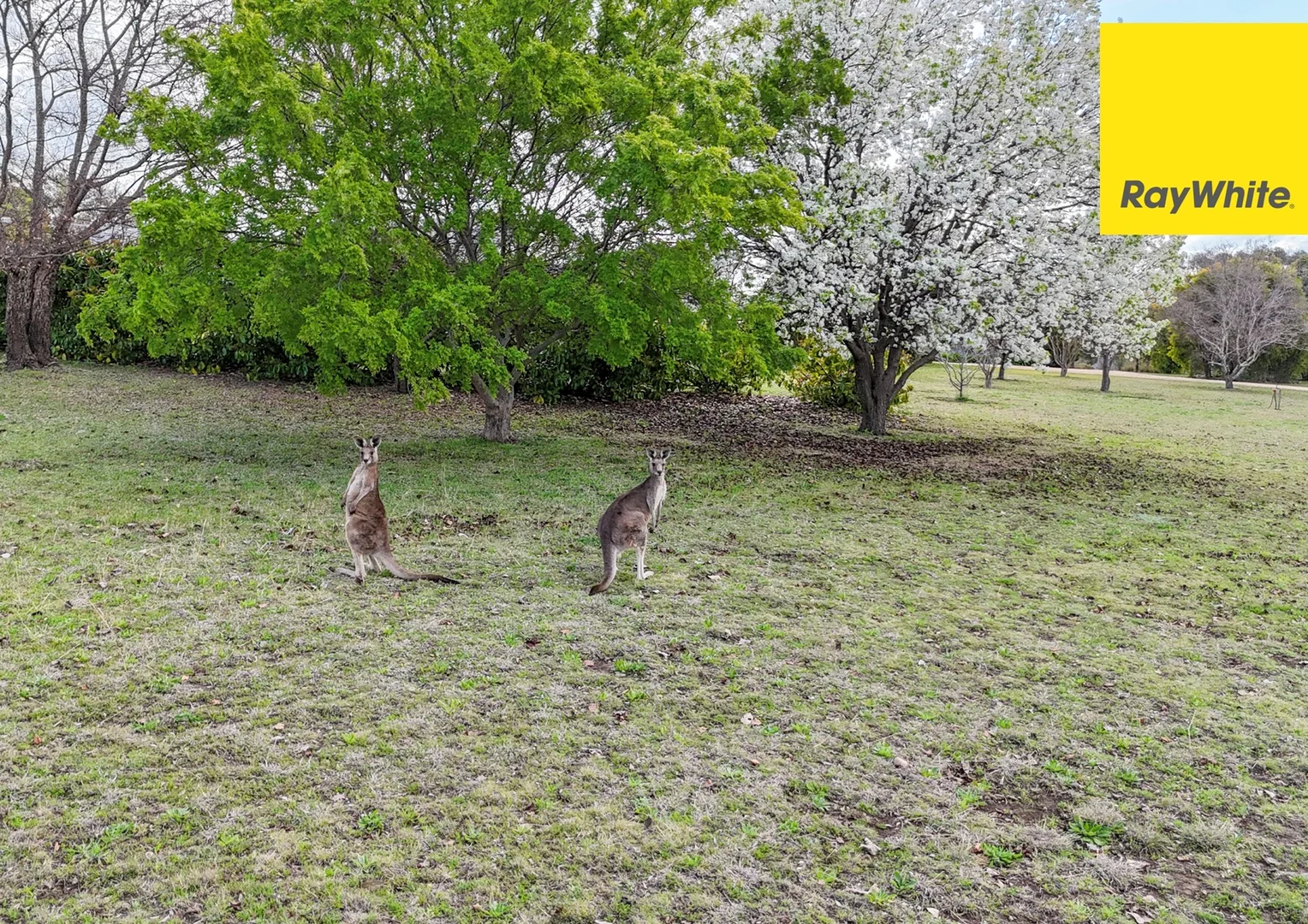 Additional image 24 of 540 Old Bundarra Road, Inverell NSW 2360