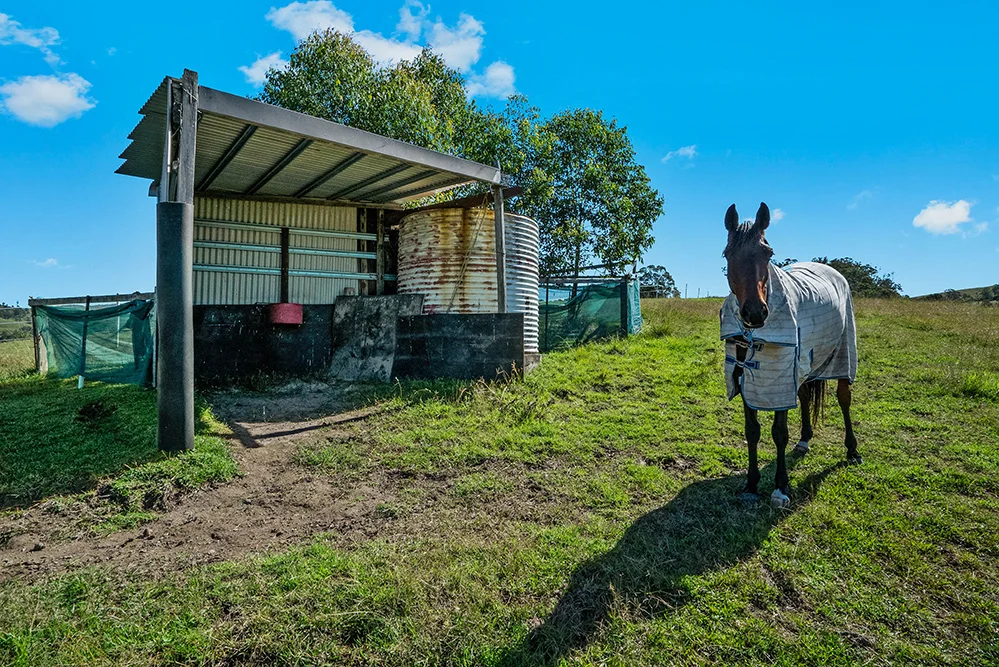 Additional image 20 of 3243 Paterson River Road, Carrabolla NSW 2311