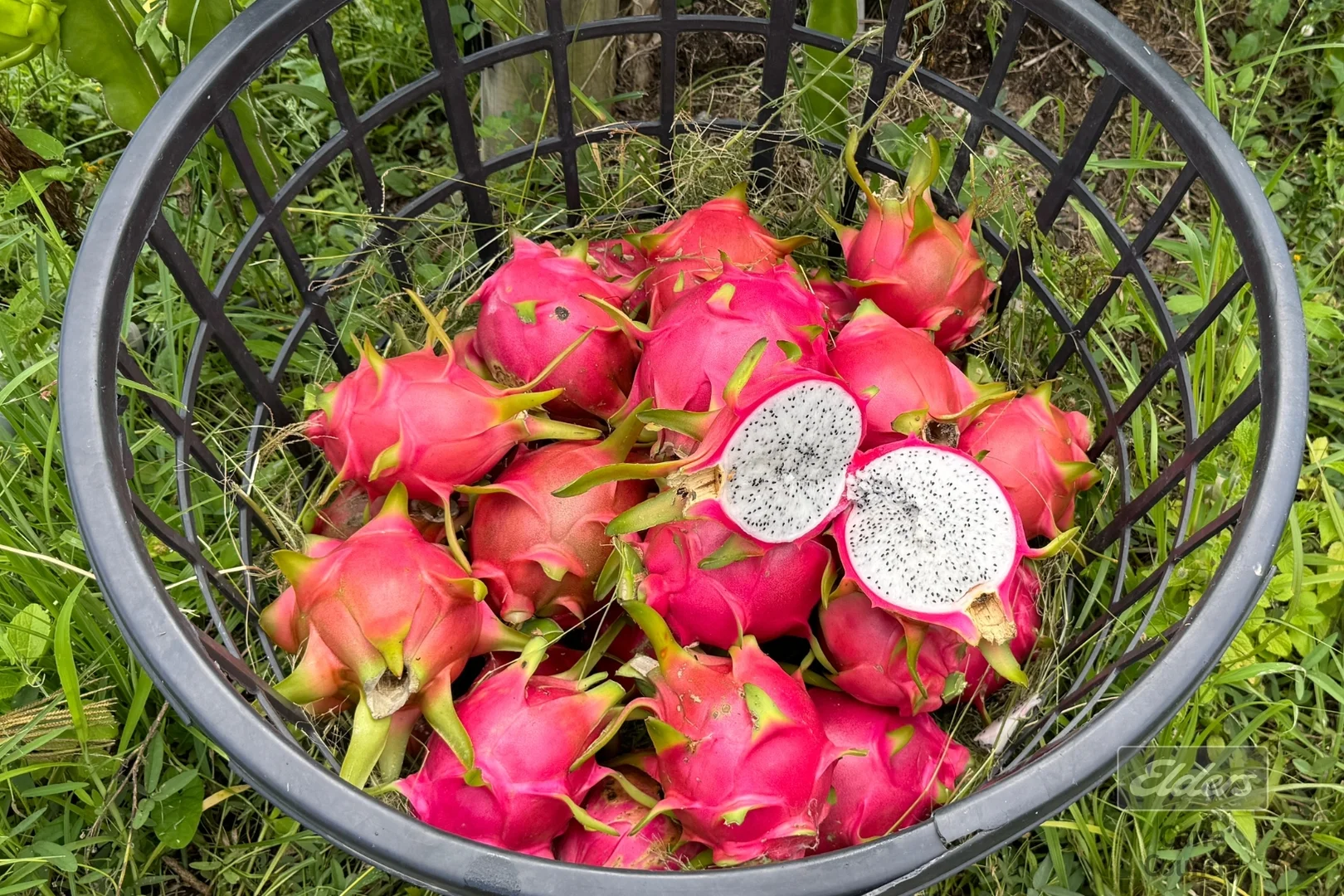 Additional image 17 of 288 Blowers Road, Munna Creek QLD 4570