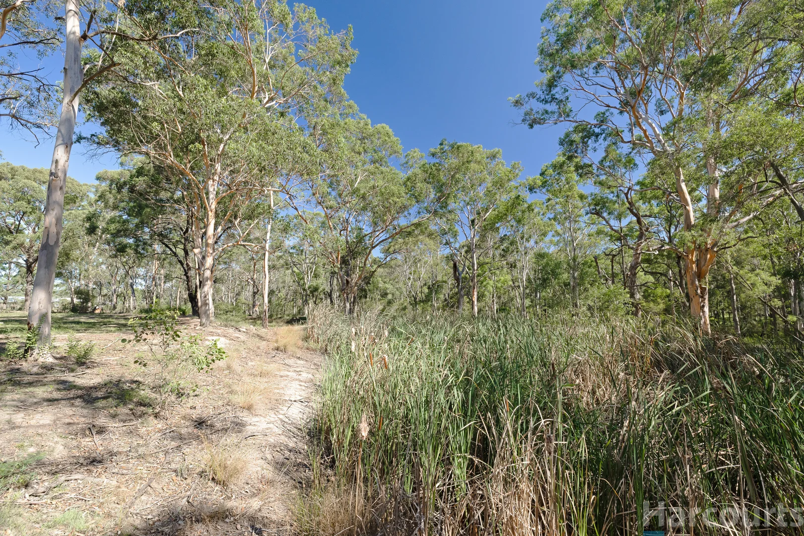 Additional image 12 of 75 Church Street, Abermain NSW 2326