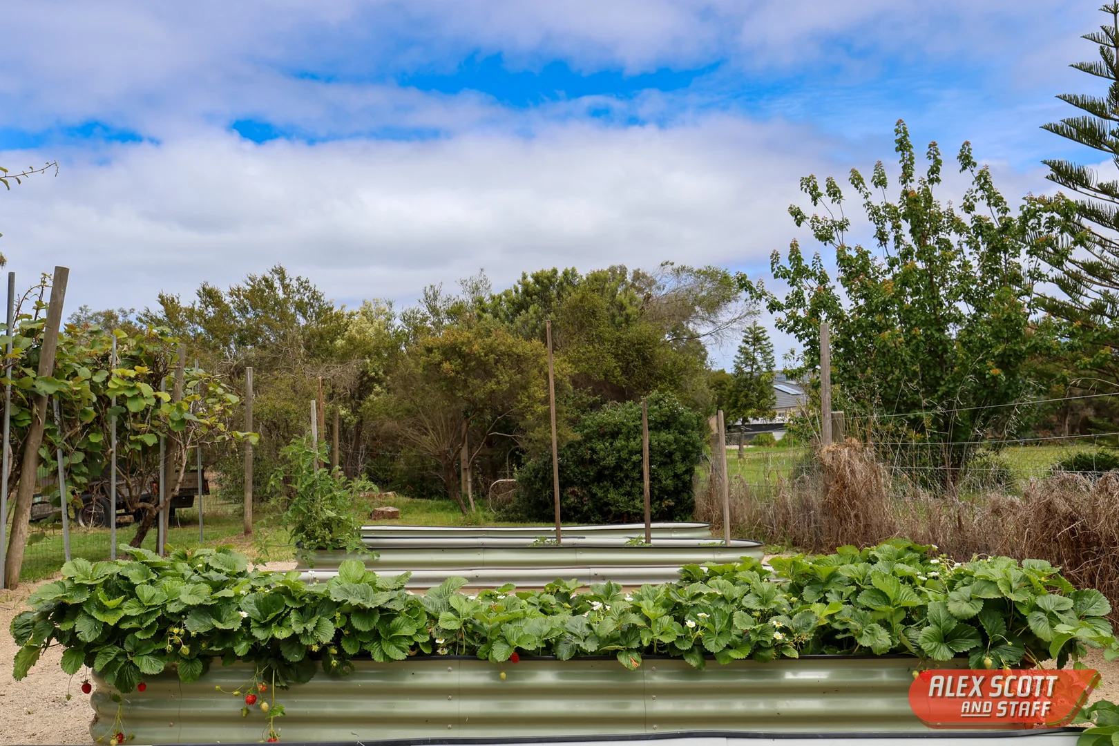 Additional image 31 of 113-115 Jamieson Street, Corinella VIC 3984