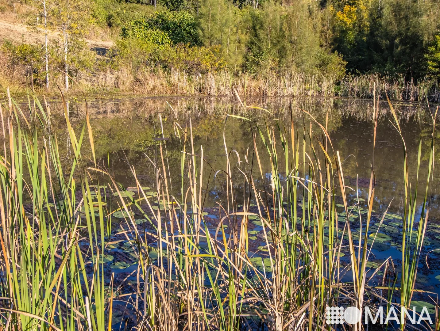 Additional image 8 of Lot 20/2981 Kyogle Road, Kunghur NSW 2484