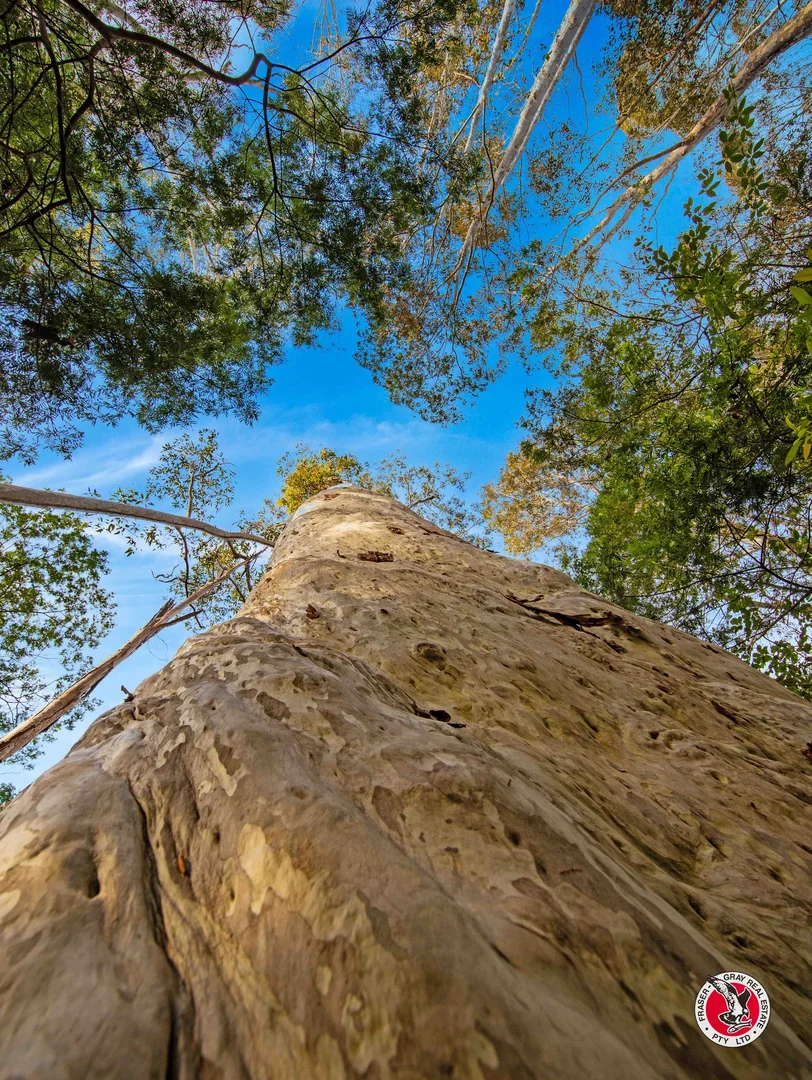 Additional image 33 of 60 Broulee Road, Broulee NSW 2537