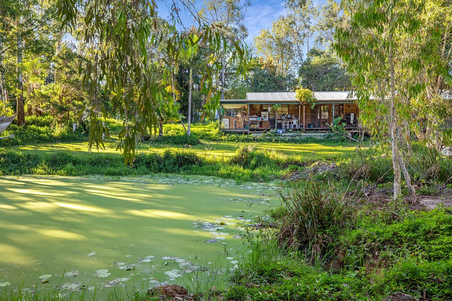 Additional image 6 of 39 Beckmans Road, Noosaville QLD 4566