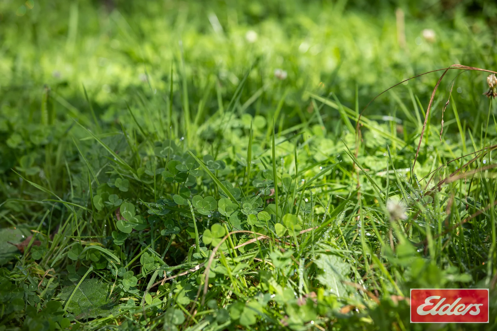 Additional image 11 of 72 Guyra Road, Ebor NSW 2453