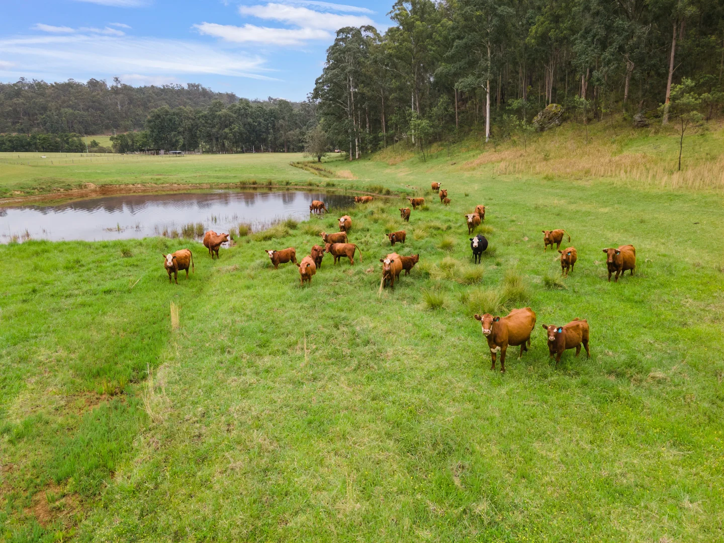 Additional image 19 of 936B Putty Valley Road, Putty NSW 2330