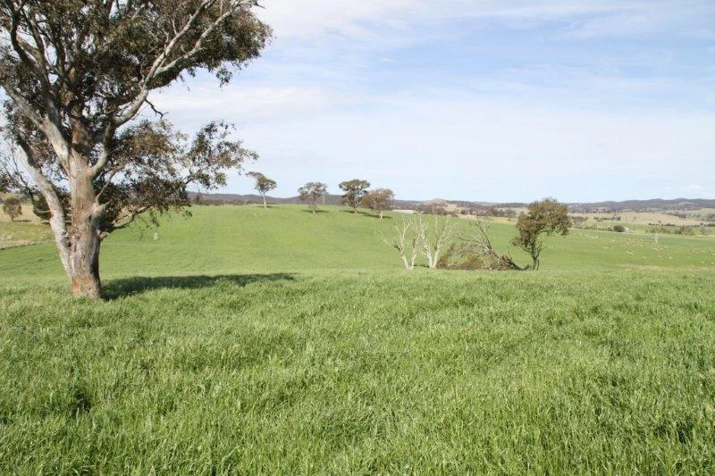 Additional image 5 of 3/83 Yass Valley Way, Manton NSW 2582
