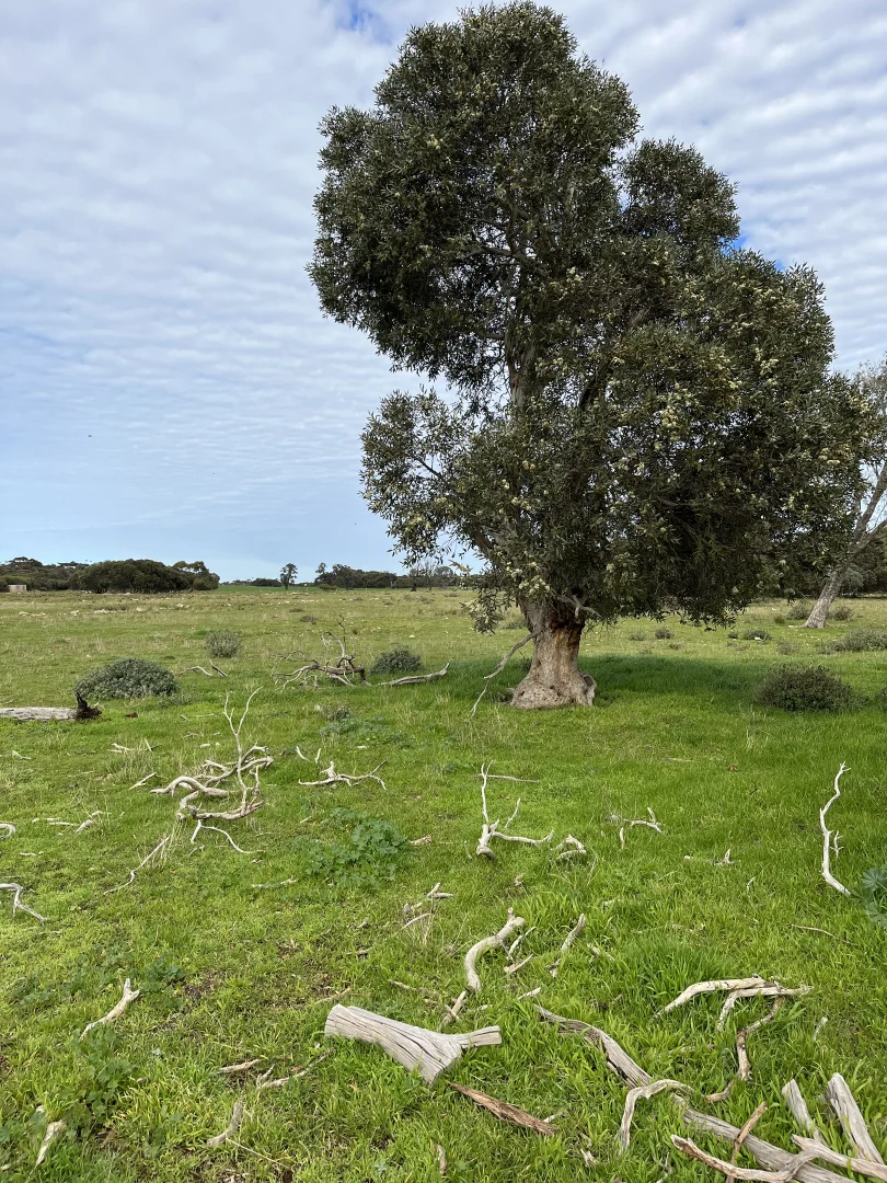 Additional image 12 of 105 Tod Highway, Fountain SA 5607