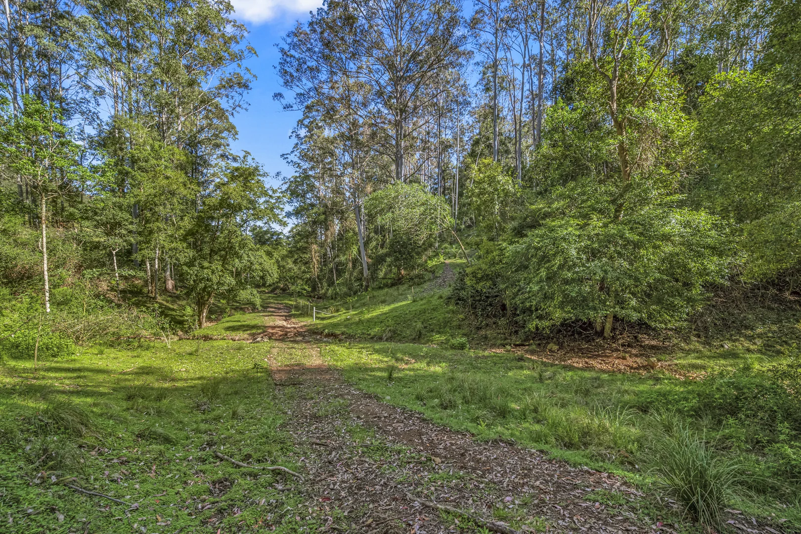 Additional image 17 of 345 Glen Road, Craven NSW 2422