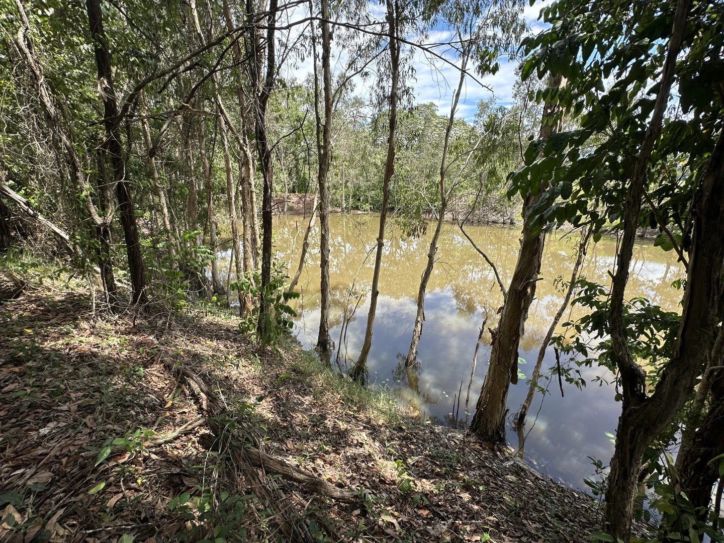 Additional image 19 of 680 Bluff Road, Bilyana QLD 4854